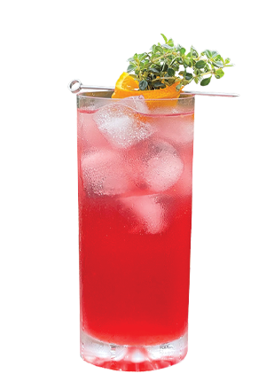 non alcohol fizz